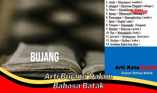 arti bujang dalam bahasa batak