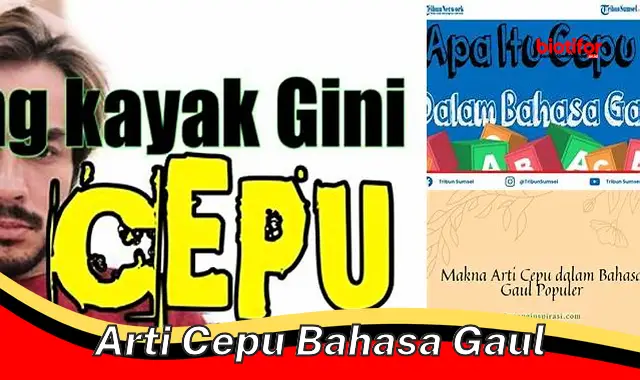 Yuk, Ketahui Arti Cepu Bahasa Gaul yang Sebenarnya!