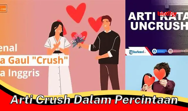 Arti Crush dalam Asmara: Panduan Lengkap