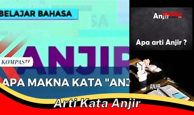 Rahasia Makna "Anjir": Kata Seru hingga Bahasa Gaul