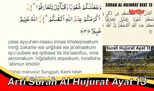 Pengertian Surah Al-Hujurat Ayat 13: Dasar Persatuan Umat