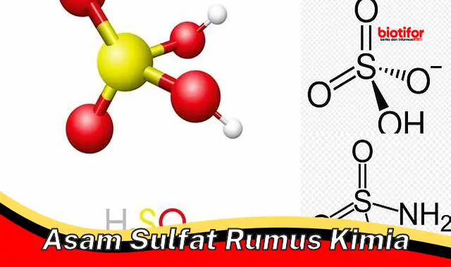 Rumus Kimia Asam Sulfat yang Penting Diketahui