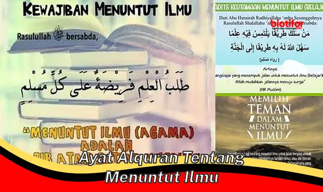 Panduan Lengkap tentang Ayat Alquran tentang Menuntut Ilmu