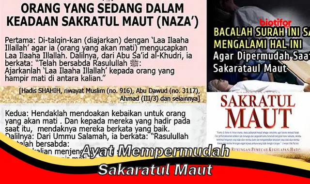 Ayat Mempermudah Sakaratul Maut: Panduan Menuju Kematian Tenang