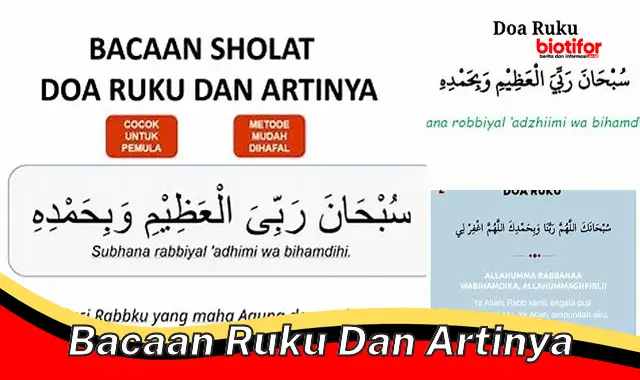 Pahami Makna Ruku: Bacaan Ruku dan Artinya