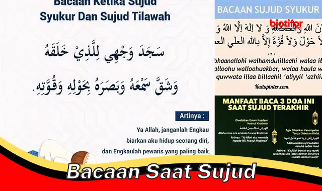 Bacaan Sujud: Panduan Lengkap untuk Meningkatkan Kekhusyukan Shalat