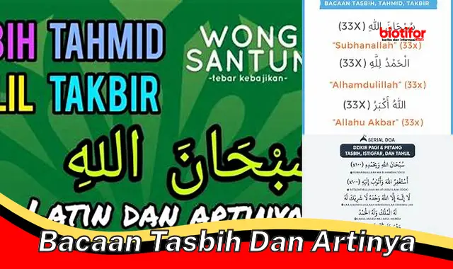 Panduan Lengkap Bacaan Tasbih dan Artinya untuk Kedekatan dengan Allah