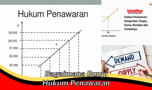 bagaimana bunyi hukum penawaran