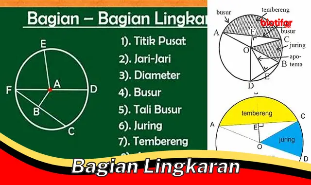 Panduan Lengkap: Memahami Bagian Lingkaran Secara Mendalam