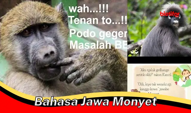 Mengenal Bahasa Jawa Monyet: Komunikasi Unik di Alam Liar