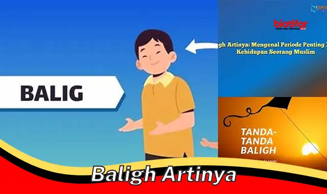 Mengenal "Baligh": Pengertian dan Aspek Pentingnya