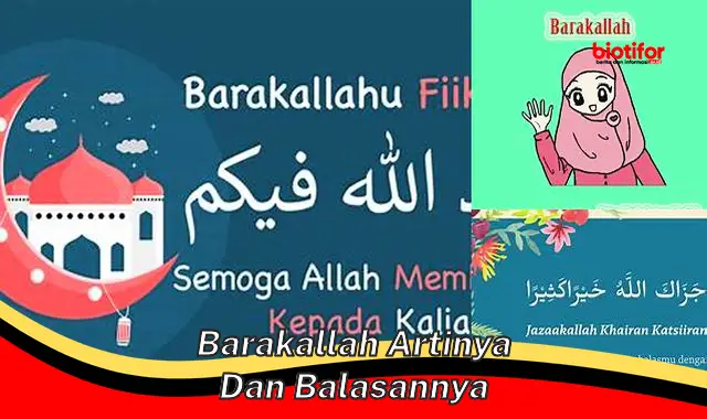 Pengertian dan Tata Cara Balas Barakallah Singkat, Padat, dan Jelas