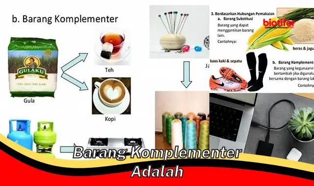 Pengertian Barang Komplementer: Pentingnya dalam Bisnis dan Ekonomi