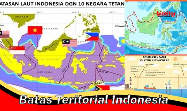 Kenali Batas Teritorial Indonesia: Definisi dan Aspek Pentingnya