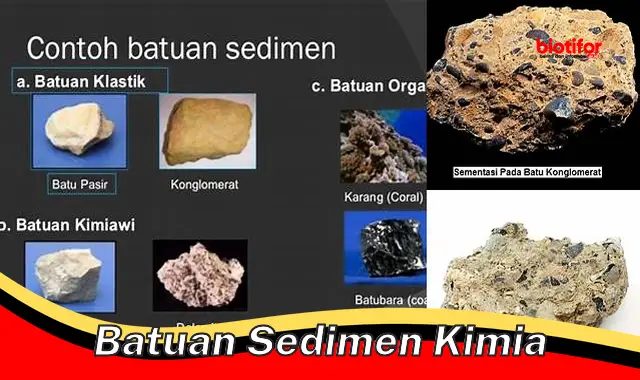 Jenis Batuan Sedimen Kimia dan Manfaatnya yang Penting