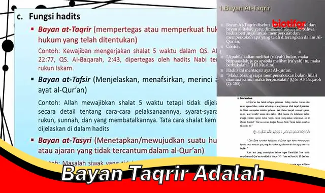 Panduan Lengkap Bayan Taqrir: Pengertian, Ciri, dan Manfaat