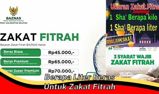 Ukuran Tepat Zakat Fitrah: Berapa Liter Beras yang Harus Disiapkan?