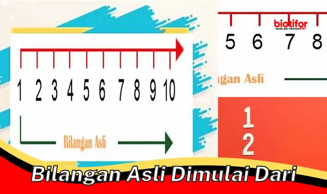 Pahami Konsep Bilangan Asli Dimulai Dari: Dasar Penting Matematika