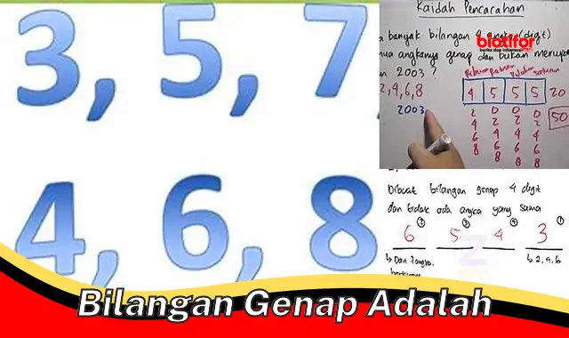 Panduan Lengkap: Mengenal Bilangan Genap dan Aplikasinya