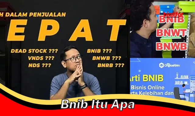 Apa Itu BNIB? Ketahui Keunggulannya Sebelum Membeli!