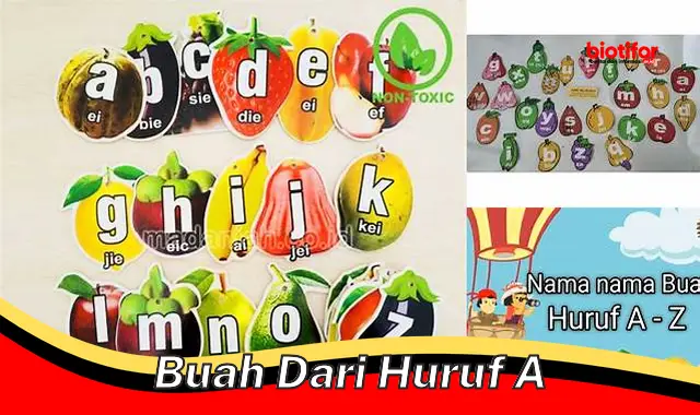 Buah-Buahan Sehat dari Huruf A untuk Kebugaran Anda