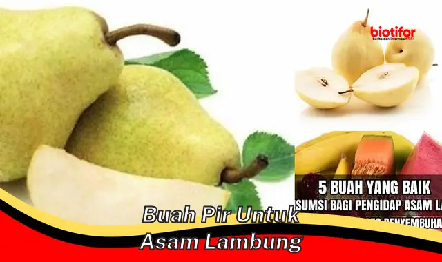 buah pir untuk asam lambung