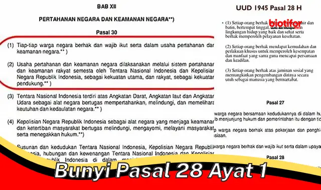 Hak Fundamental: Bunyi Pasal 28 Ayat 1 UUD 1945