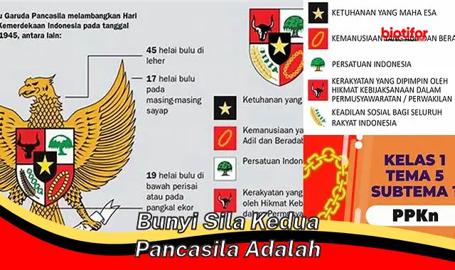 Pengertian dan Makna Bunyi Sila Kedua Pancasila