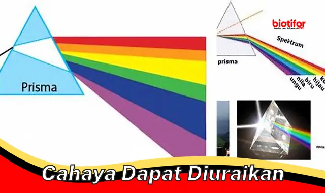 cahaya dapat diuraikan