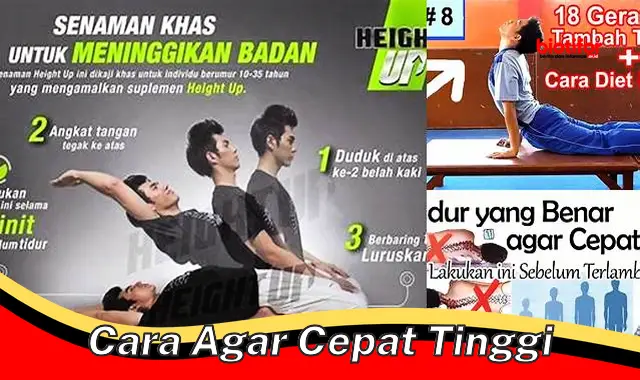 5 Cara Cepat Tinggi Badan Secara Alami