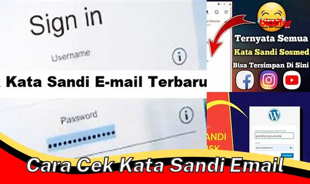 Panduan Lengkap Cara Cek Kata Sandi Email dengan Aman dan Mudah