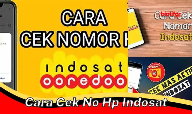 Cara Mudah dan Cepat Cek Nomor HP Indosat