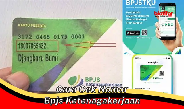 Cara Mudah dan Cepat Cek Nomor BPJS Ketenagakerjaan