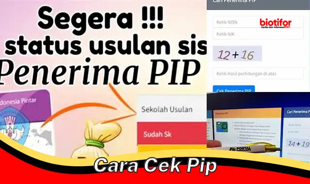 Cara Cek Kesehatan Paru-paru dengan Mudah dan Akurat