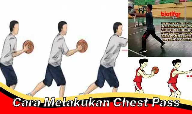 Panduan Lengkap: Cara Melakukan Chest Pass dengan Akurat dan Efektif