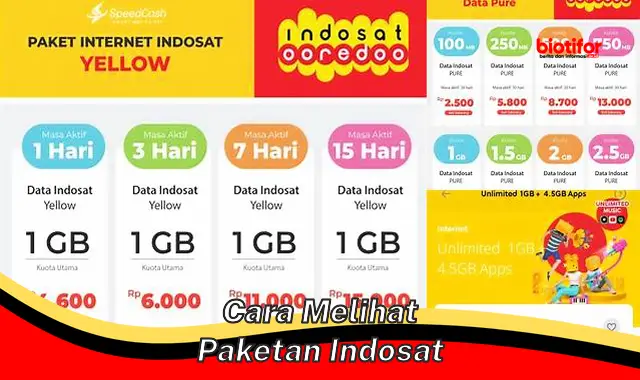 cara melihat paketan indosat