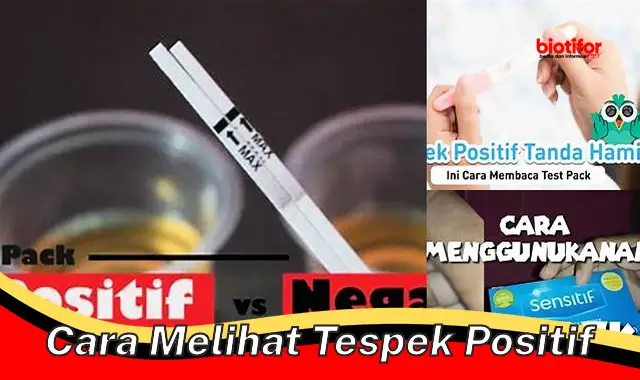 Tips Cermat Melihat Tespek Positif untuk Mendeteksi Kehamilan