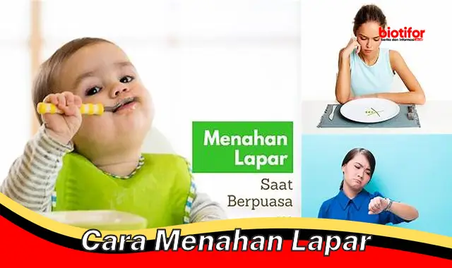 Rahasia Ampuh Menahan Lapar: Tips Efektif untuk Mengontrol Rasa Lapar