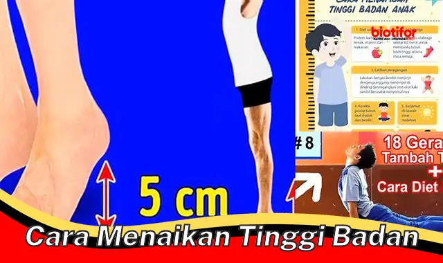 Panduan Lengkap: Cara Menambah Tinggi Badan Cepat dan Alami - Biotifor