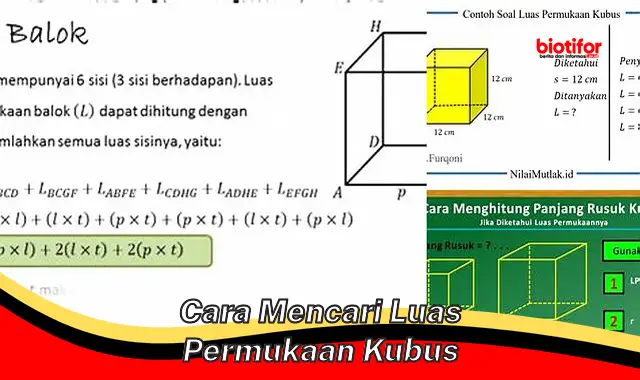 Tutorial Cepat dan Mudah untuk Menghitung Luas Permukaan Kubus