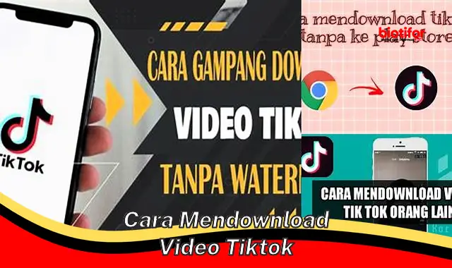 Cara Mudah dan Cepat Download Video TikTok Tanpa Ribet