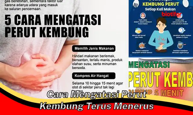 Panduan Lengkap: Cara Ampuh Mengatasi Perut Kembung Berkepanjangan