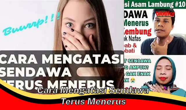 Cara Ampuh Mengatasi Sendawa Terus Menerus