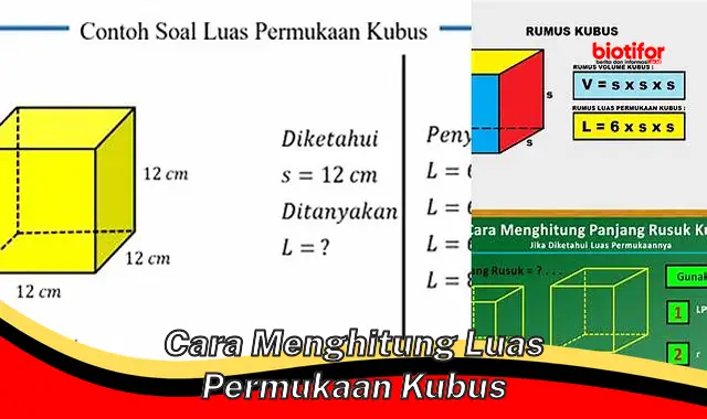 Cara Gampang Hitung Luas Permukaan Kubus, Dijamin Tepat!