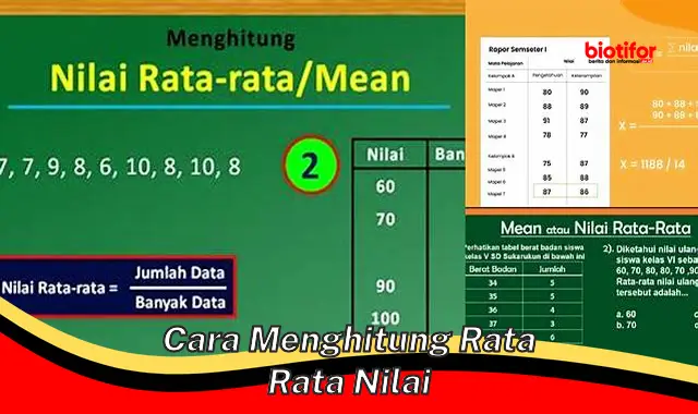 Panduan Lengkap: Cara Menghitung Rata-Rata Nilai dengan Akurat