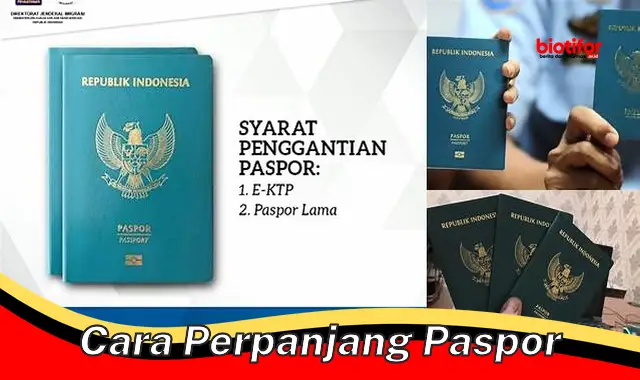 Panduan Lengkap Cara Perpanjangan Paspor Mudah Dan Cepat Biotifor 4837