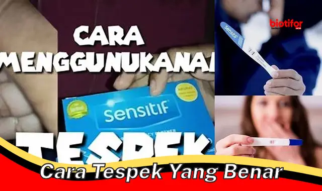 Cara Tespek yang Benar: Panduan Lengkap untuk Hasil Akurat