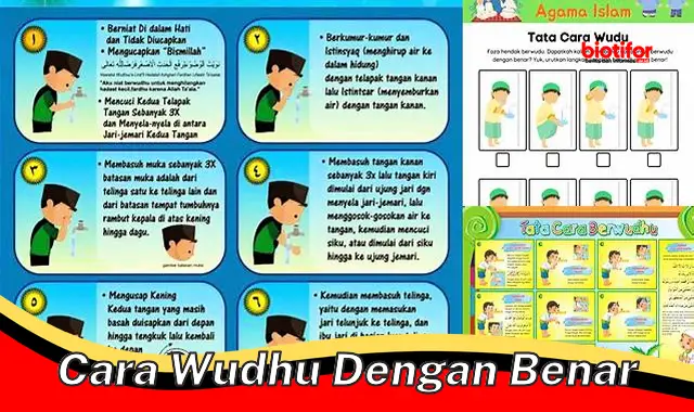 Panduan Lengkap: Cara Wudhu Benar dan Sempurna