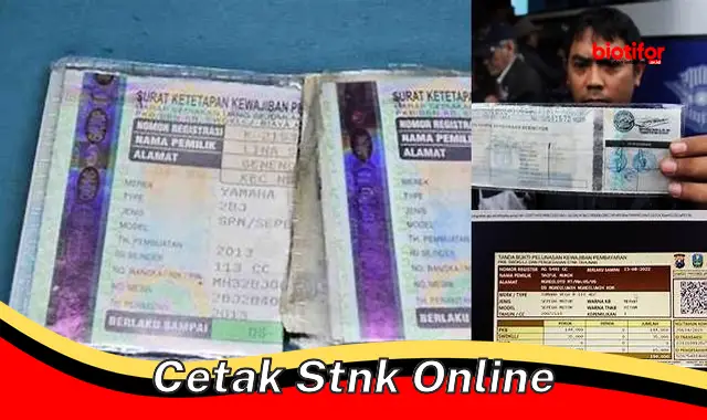 cetak stnk online