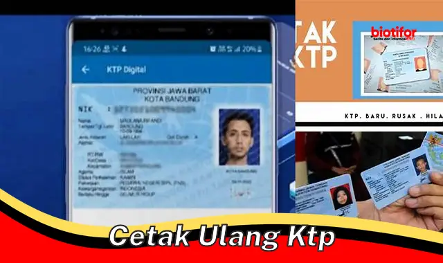 Buat KTP Baru Mudah dan Cepat dengan Cetak Ulang KTP